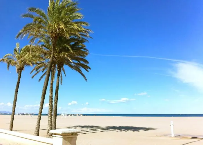 Master&commander * Valencia