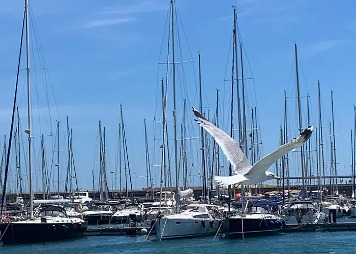 Master&commander * Valencia