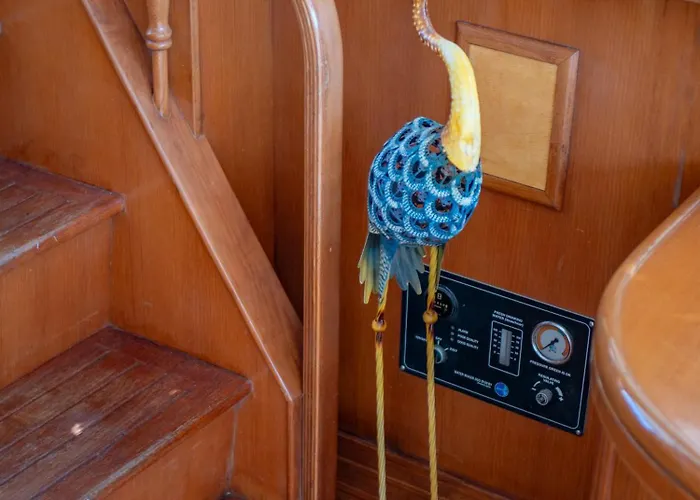 Botel Master&commander *